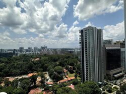 The Scotts Tower (D9), Condominium #438601361